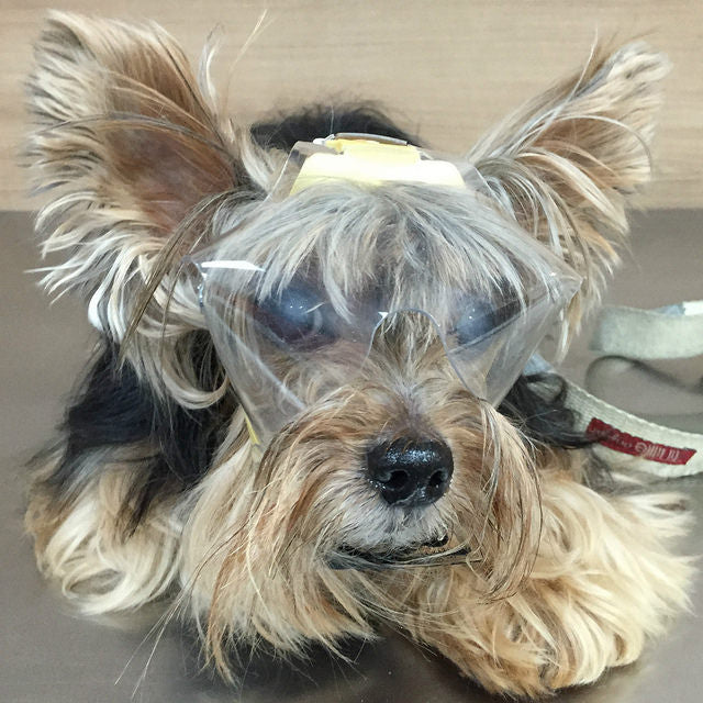 OptiVizor - medical uv eye and face protection for dogs and cats