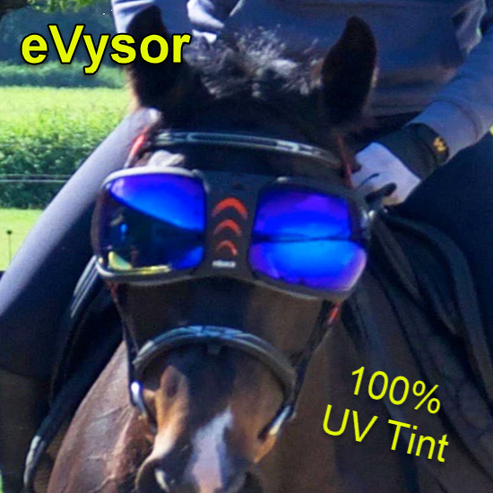 eVysor UV Horse Goggles by eQuick