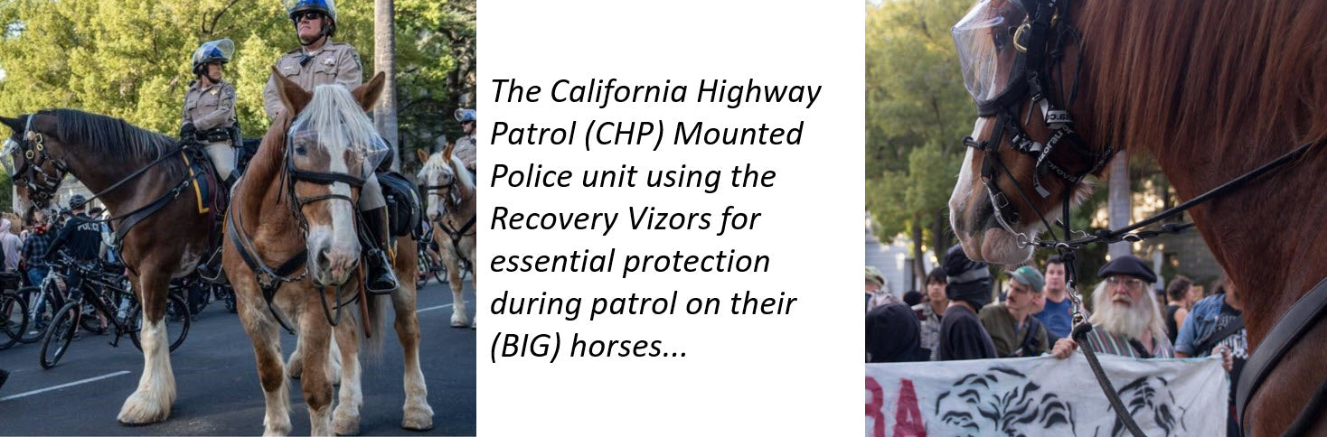 California Highway Patrol Mounted Police using the Recovery Vizor for Riot Protection for horses' eyes