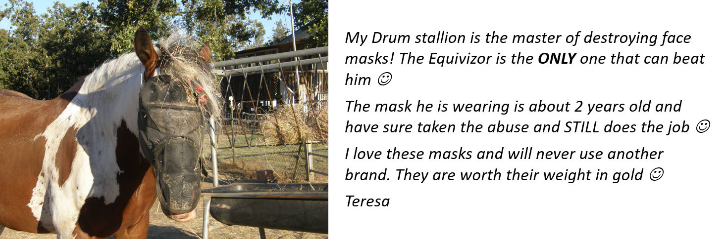 EquiVizor fly mask for horses Testimonial to being durable