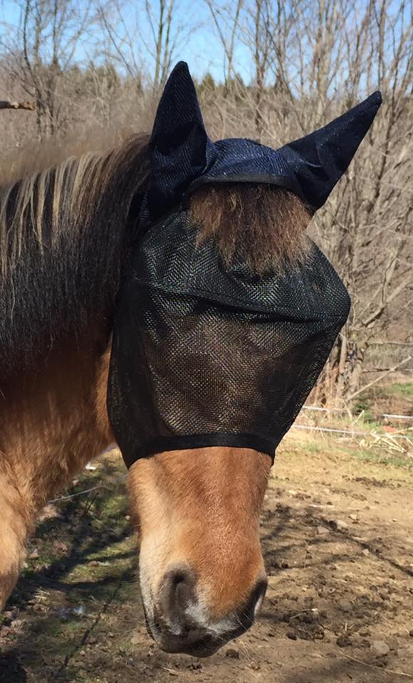 EquiVizor Fly Mask with Ear Protection - Protective Pet Solutions