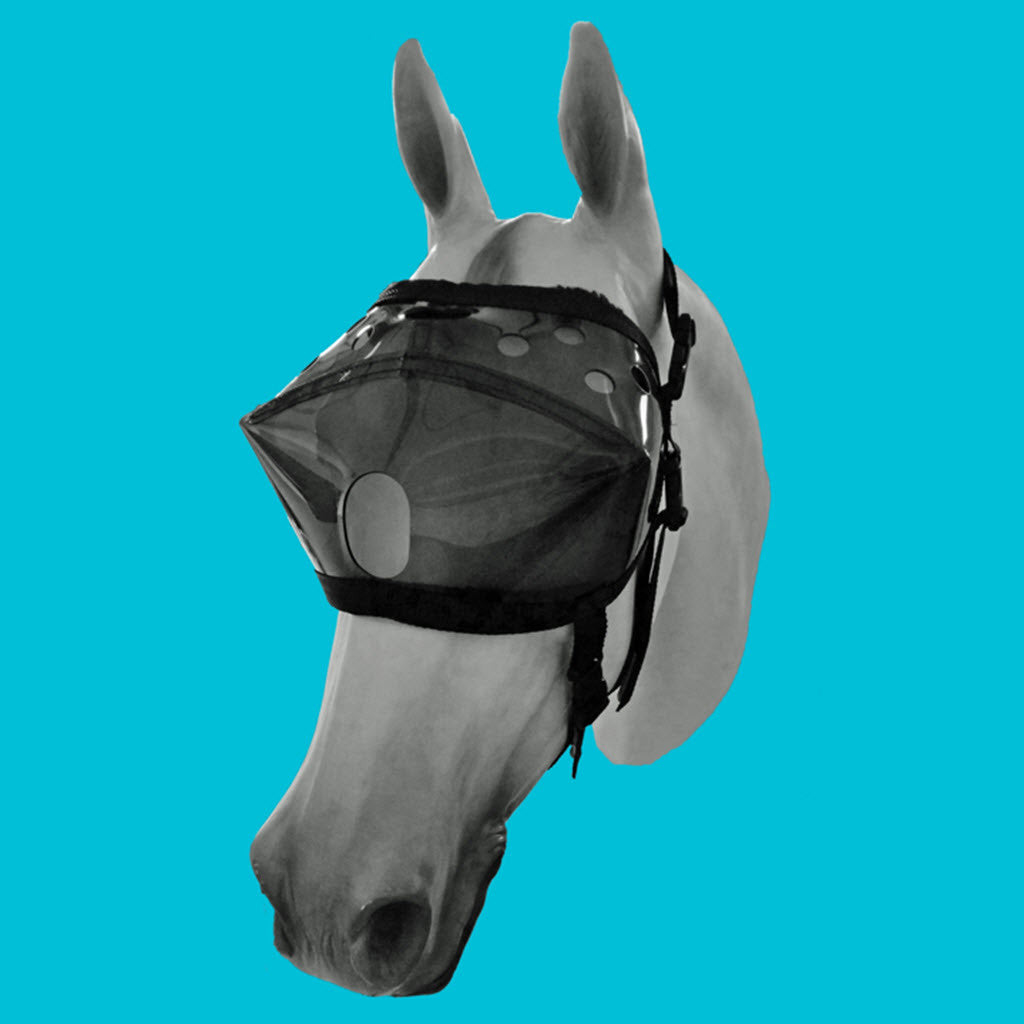 Equivizor™ Recovery Vizor - Dark UV Tint - Protective Pet Solutions