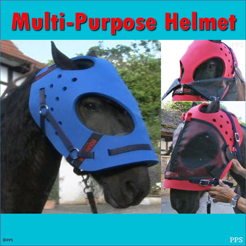 EquiVizor Multi-Purpose Helmet