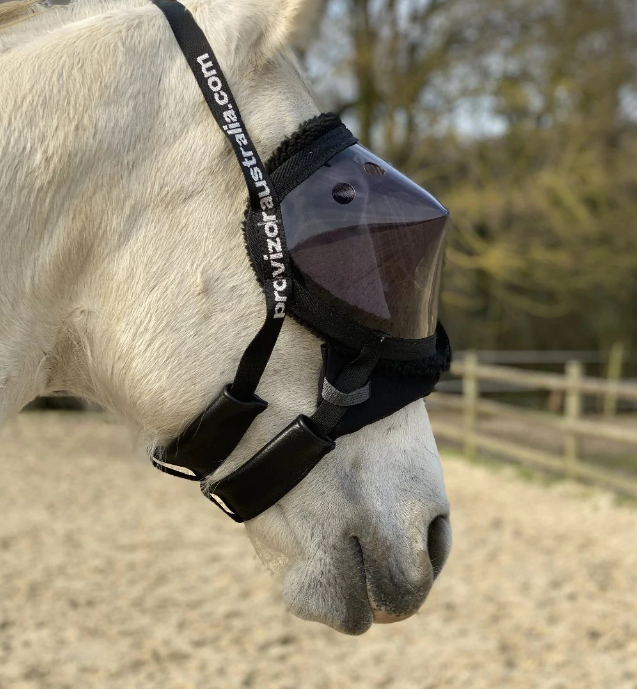 Recovery Vizor Padding Set