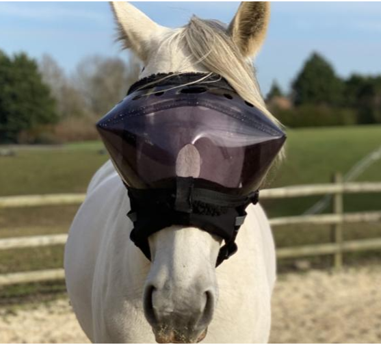 Recovery Vizor Padding Set