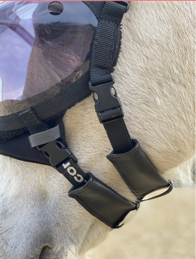 Recovery Vizor Padding Set