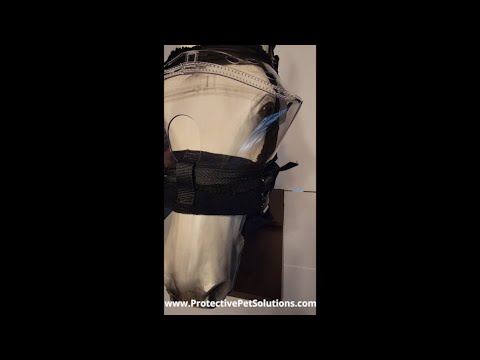 Recovery Vizor Padding Set