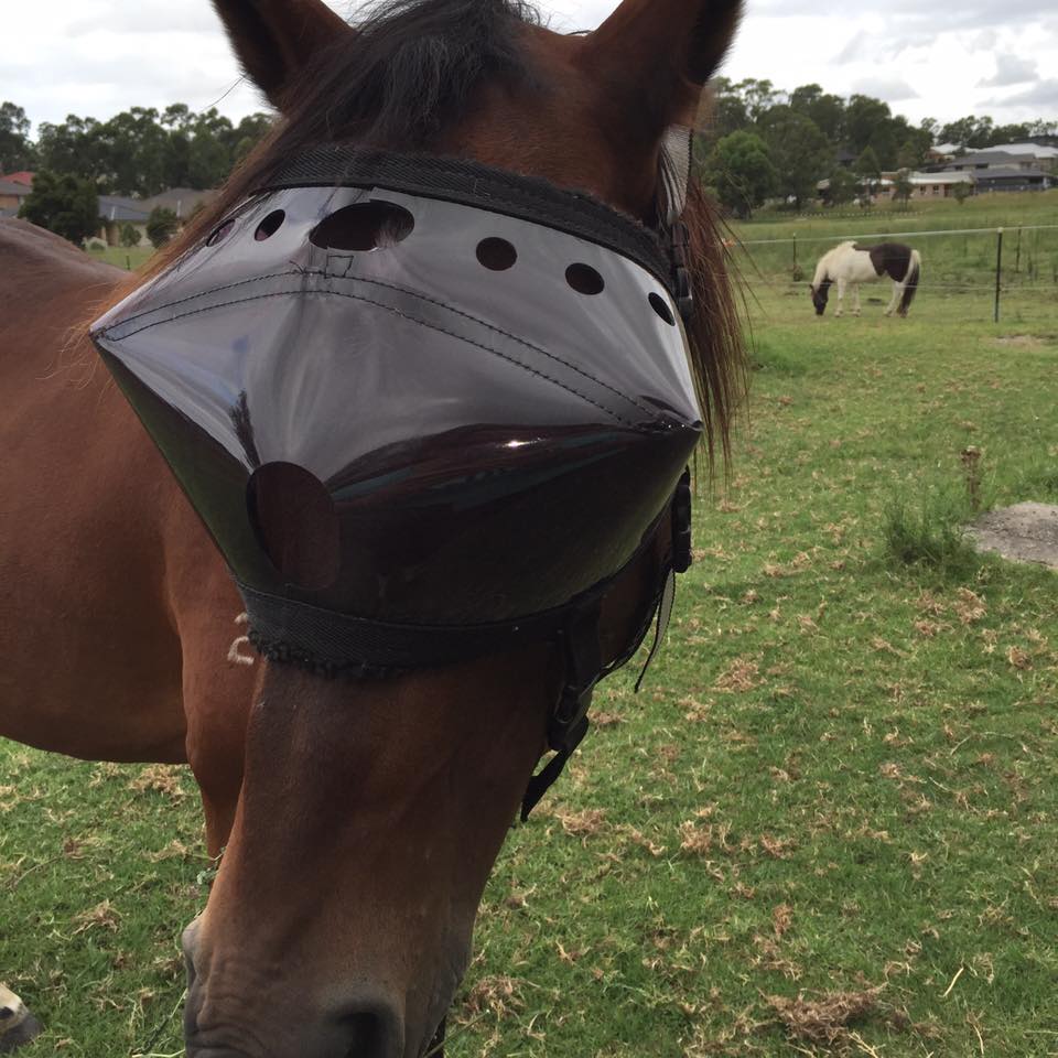 Recovery Vizor - Dark UV Tint