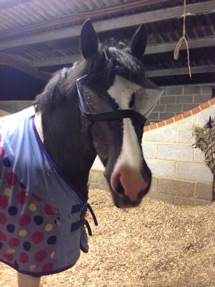 Recovery Vizor - Clear 92% UV Tint