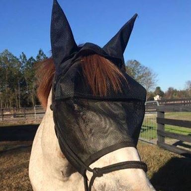 EquiVizor Fly Mask - Protective Pet Solutions