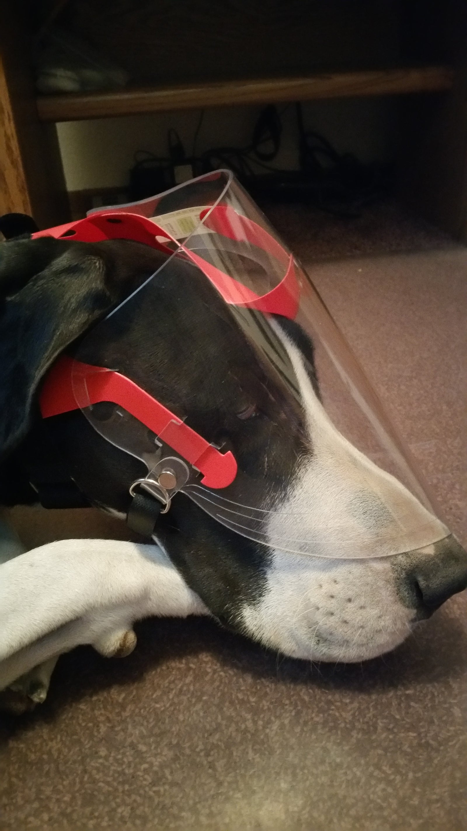 Large Clear UV Tint OptiVizor