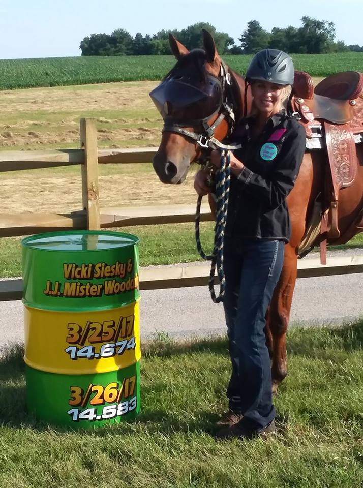 Recovery Vizor for Horses - dark UV Tint