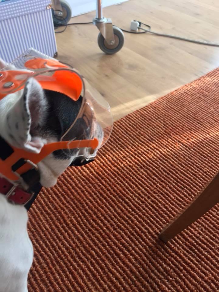 Small OptiVizor showing sufficient ventilation and Eye clearance