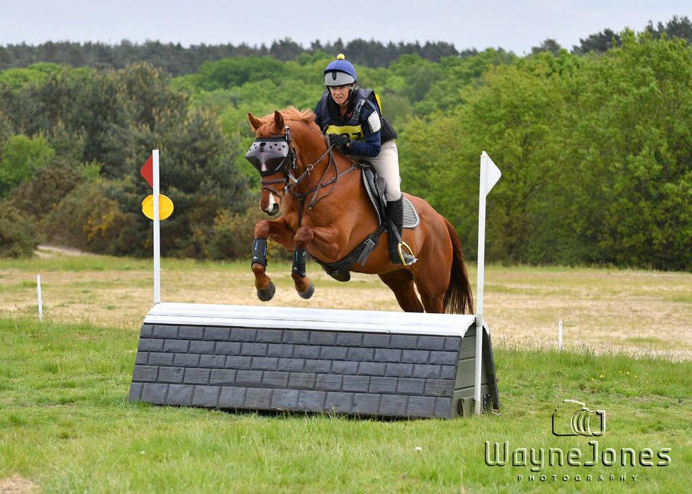 Riding and Jumping with Recovery Vizor for Horses
