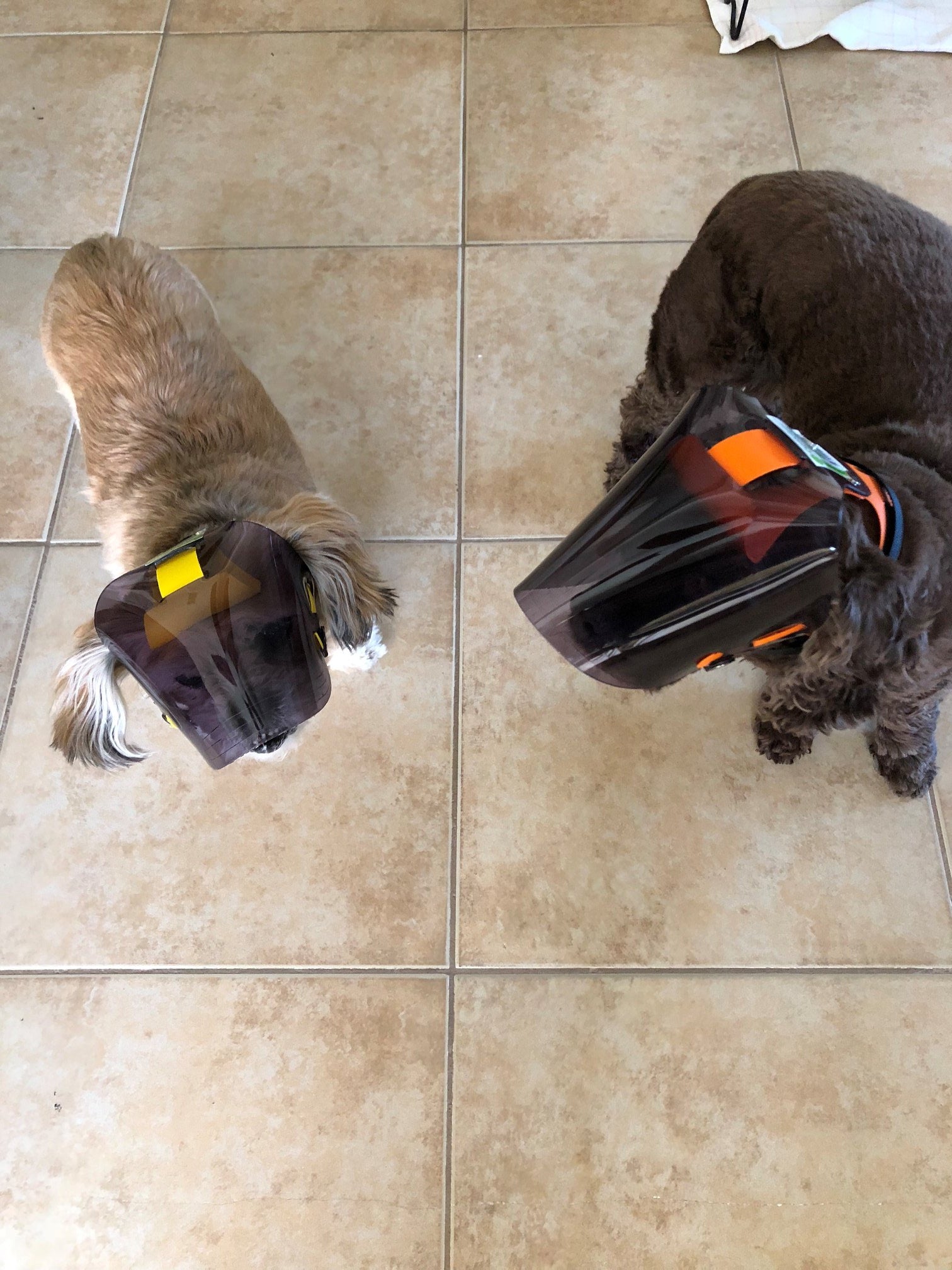 Toy and Small Dark UV Tint OptiVizors