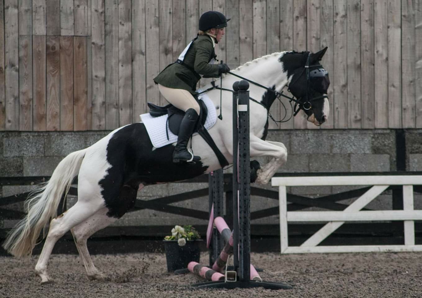 Jumping horse in Recovery Vizor