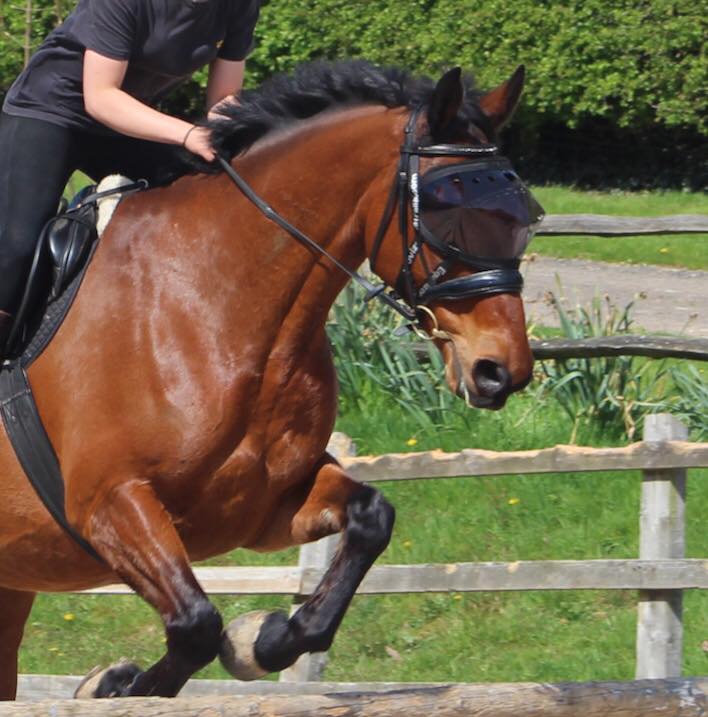 Riding with Recovery Vizor