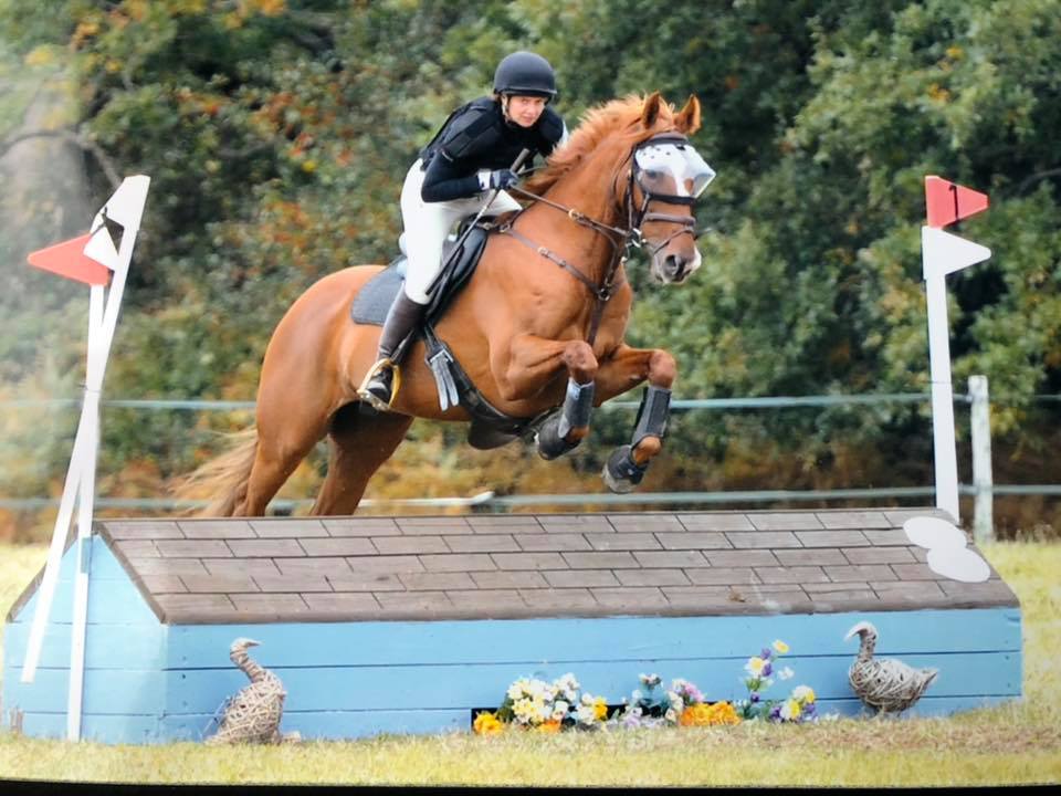 Jumping Horse in Recovery Vizor - Medical UV Eye Protection