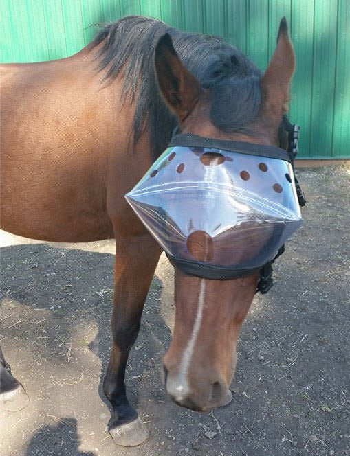 Recovery Vizor - Clear 92% UV Eye Protection for Horses