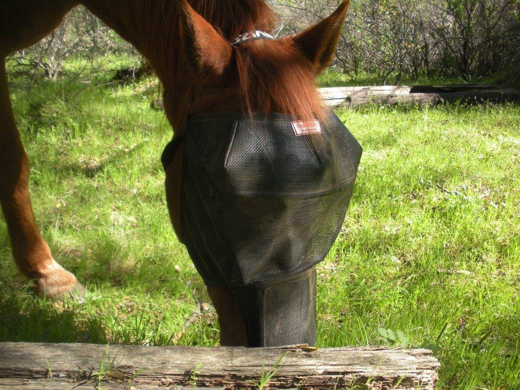 EquiVizor Fly Mask with Nose Protection - Protective Pet Solutions