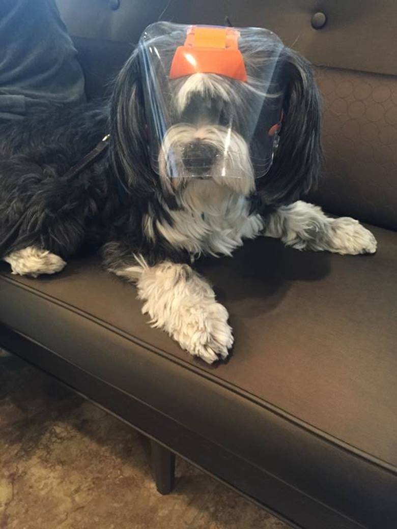 Small Regular Snout OptiVizor