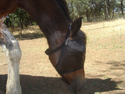 EquiVizor Fly Mask - Protective Pet Solutions