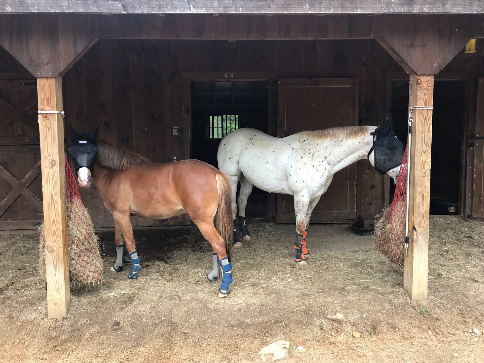 EquiVizor Fly Mask with Ear Protection - Protective Pet Solutions