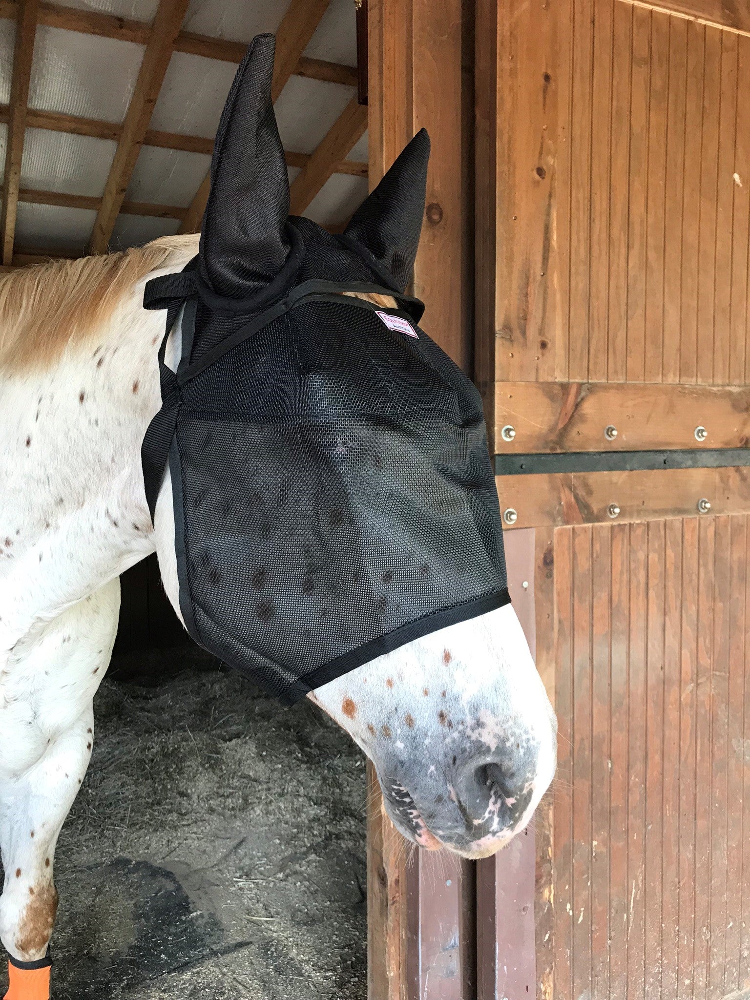 EquiVizor Fly Mask with Ear Protection - Protective Pet Solutions