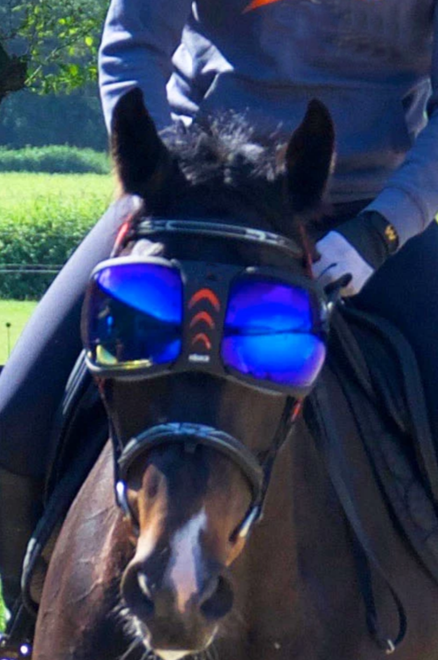 eVysor UV Horse Riding Goggles