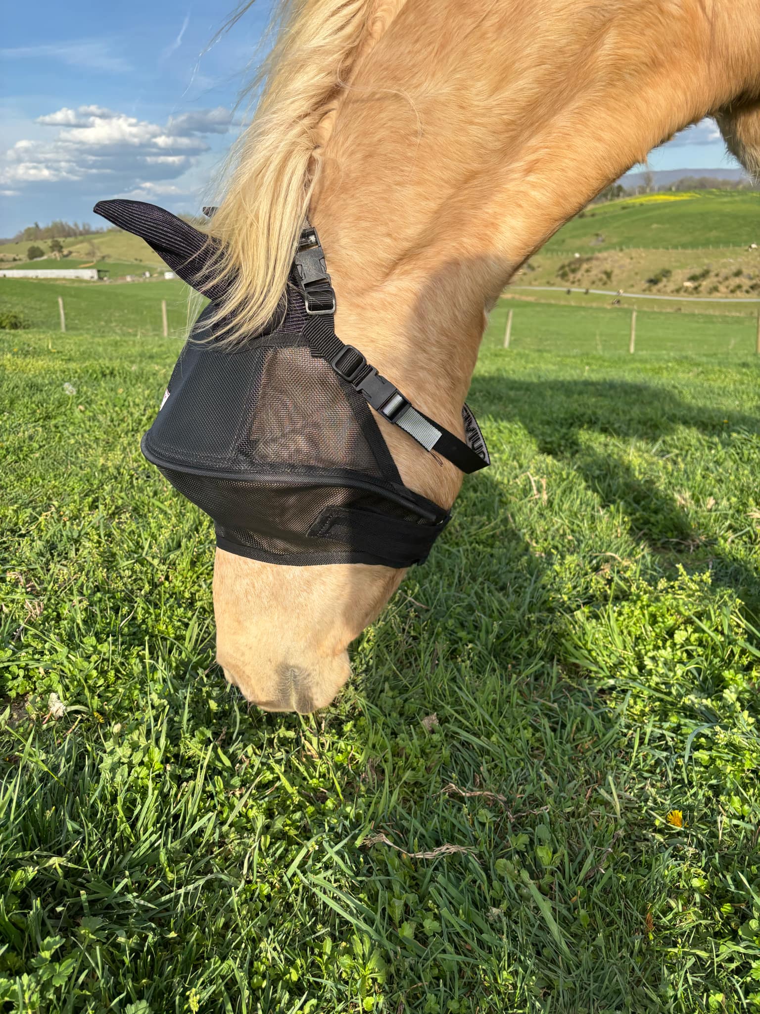 Solar Vizor Fly Mask - With Ear Protection - NEW STYLE