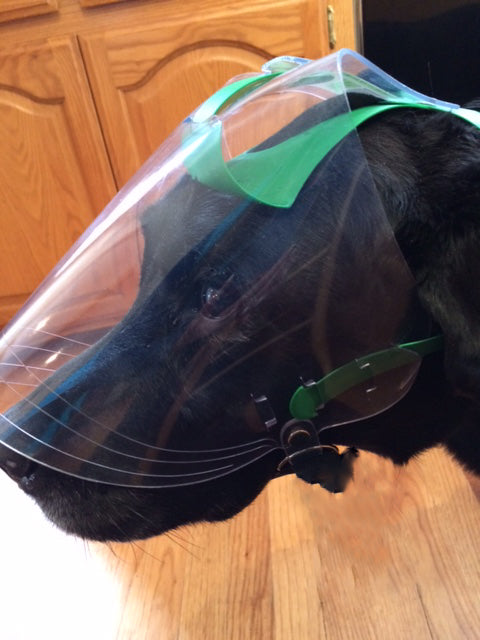 Medium OptiVizor - Clear UV Tint