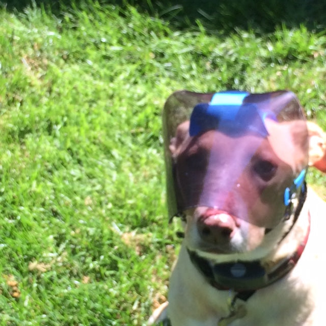 Protective Pet Solutions - Small/Medium Dark UV Tint OptiVizor