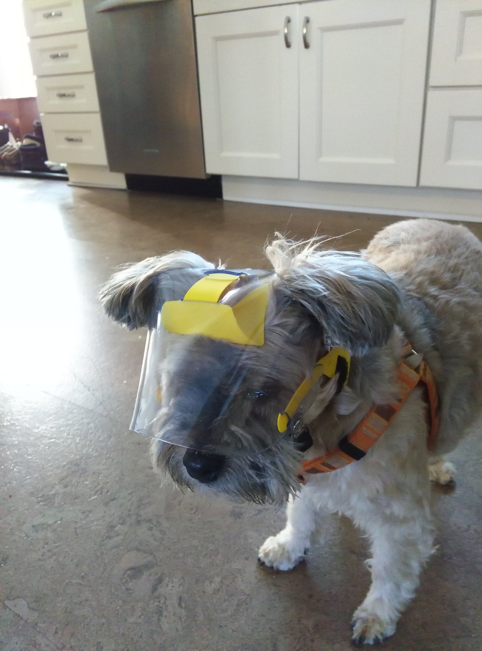 Toy Clear UV OptiVizor - Protective Pet Solutions