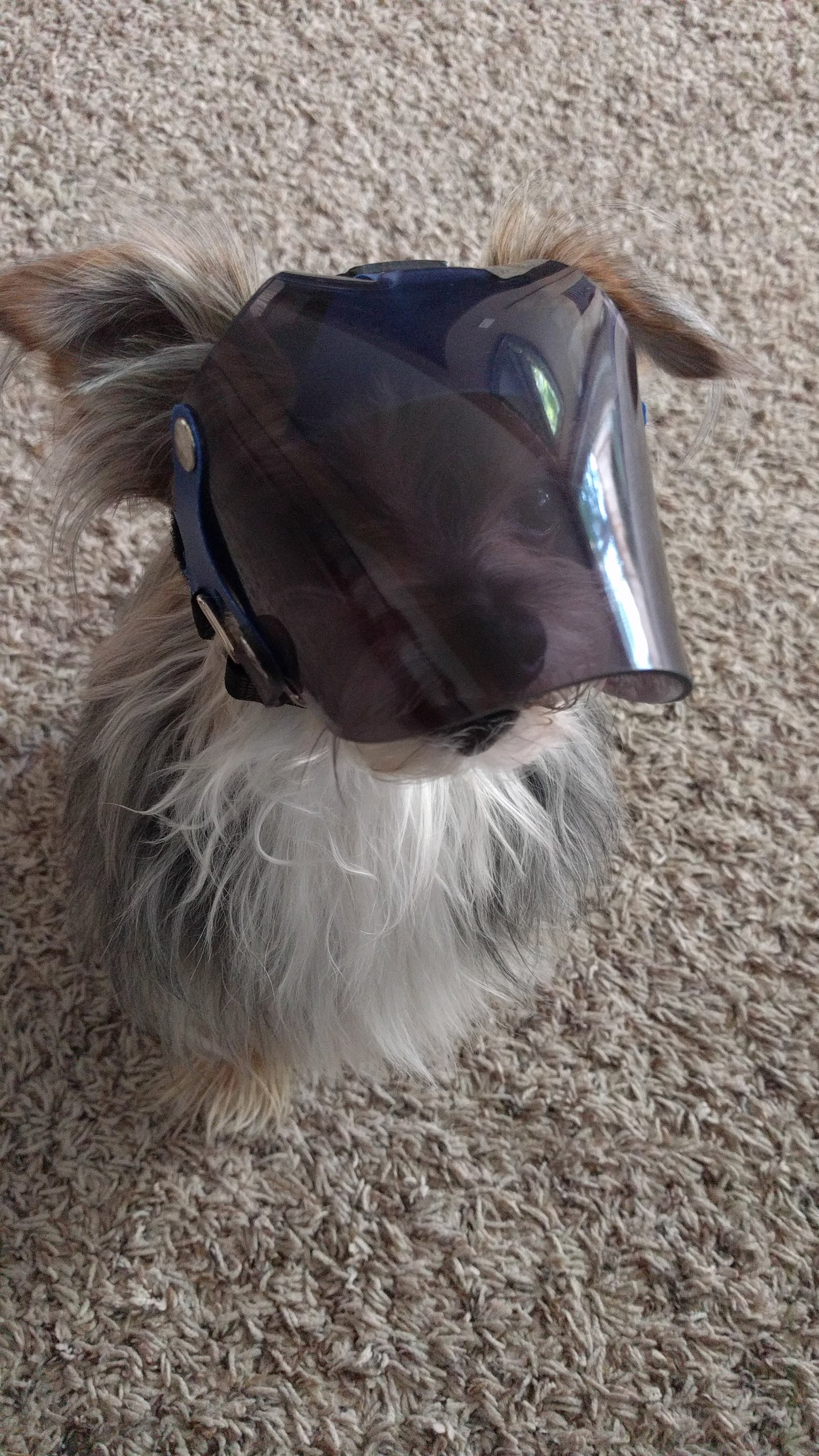 Mini Dark UV Tint OptiVizor