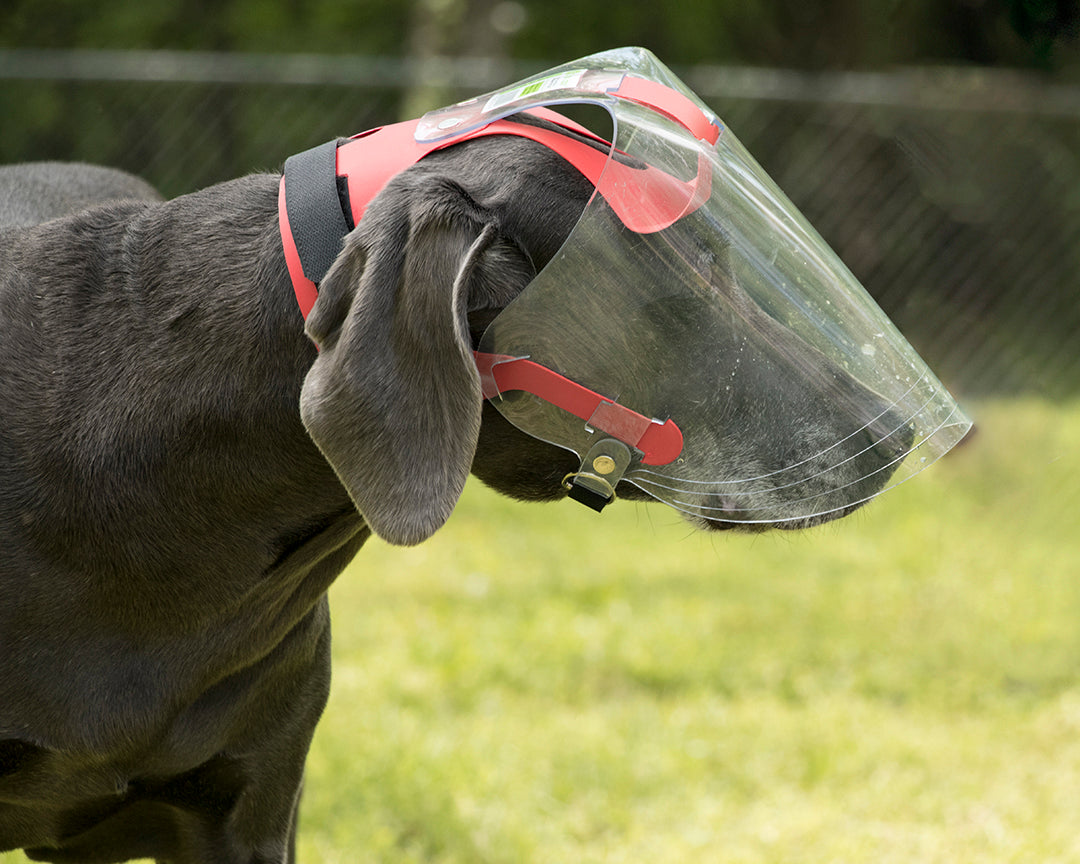 Large Clear UV Tint OptiVizor