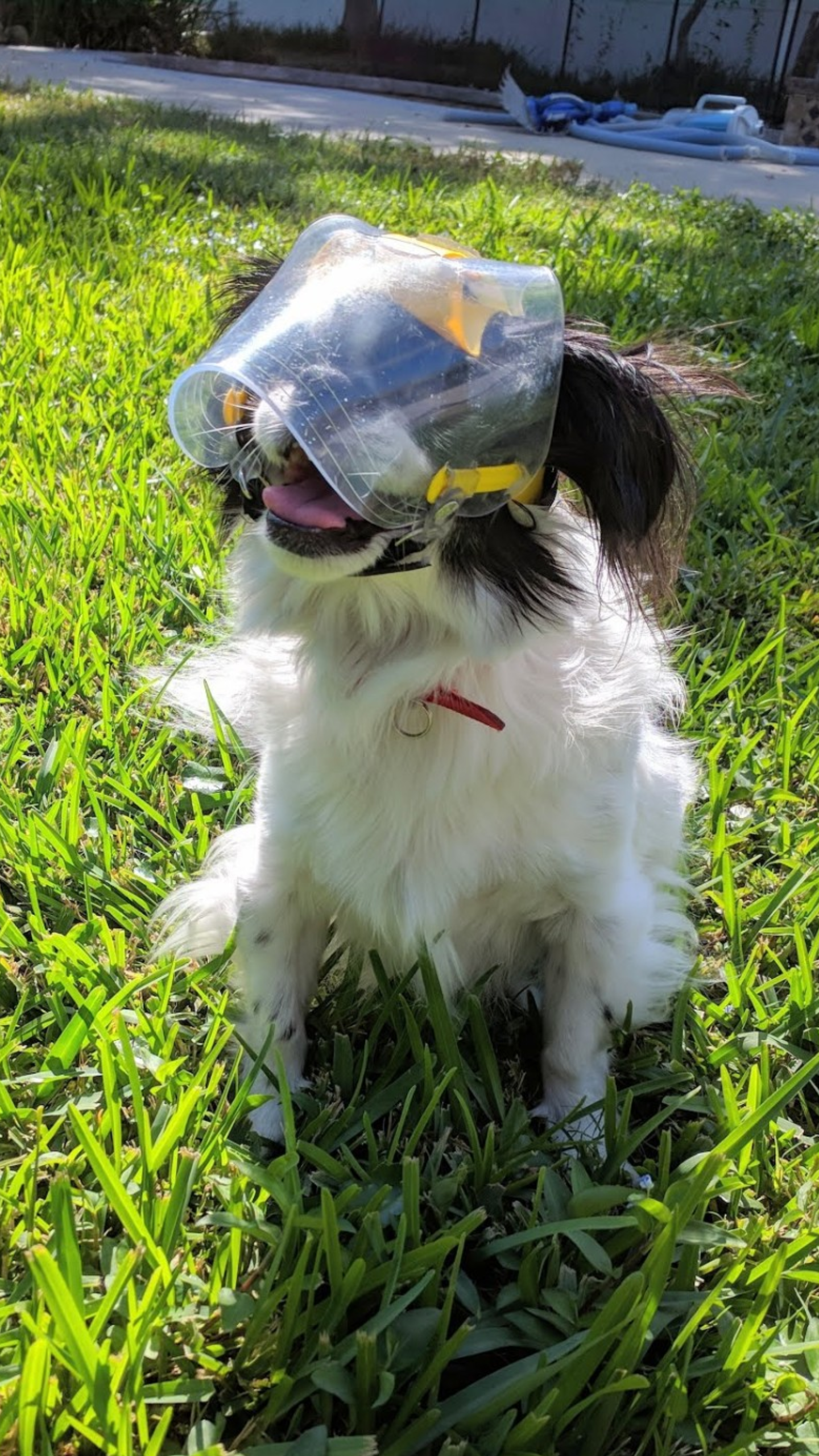 Toy OptiVizor - Regular Snout - Clear UV Tint