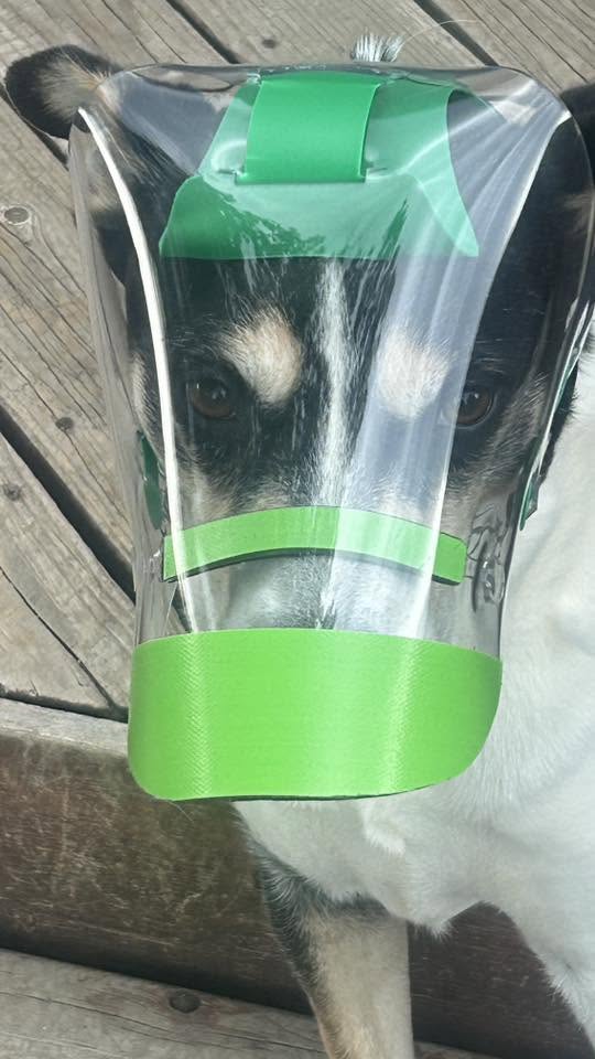 Lupus OptiVizor - Clear UV Tint