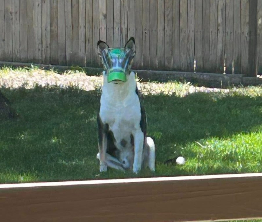 Lupus OptiVizor - Clear UV Tint