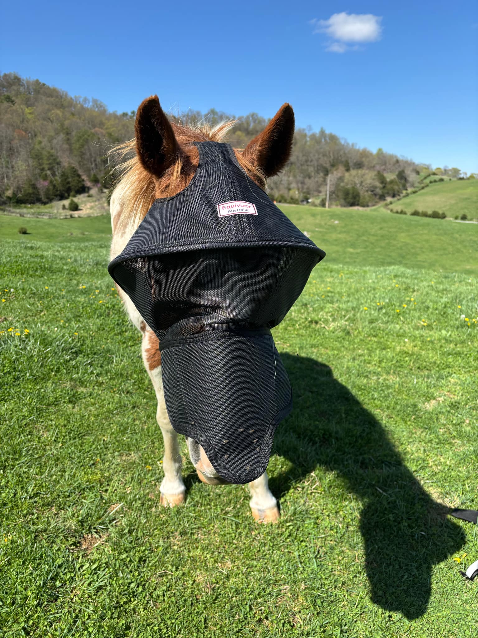 Solar Vizor Fly Mask - With Nose Protection - NEW STYLE