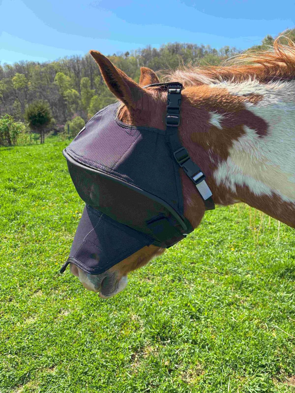 Solar Vizor Fly Mask - With Nose Protection - NEW STYLE