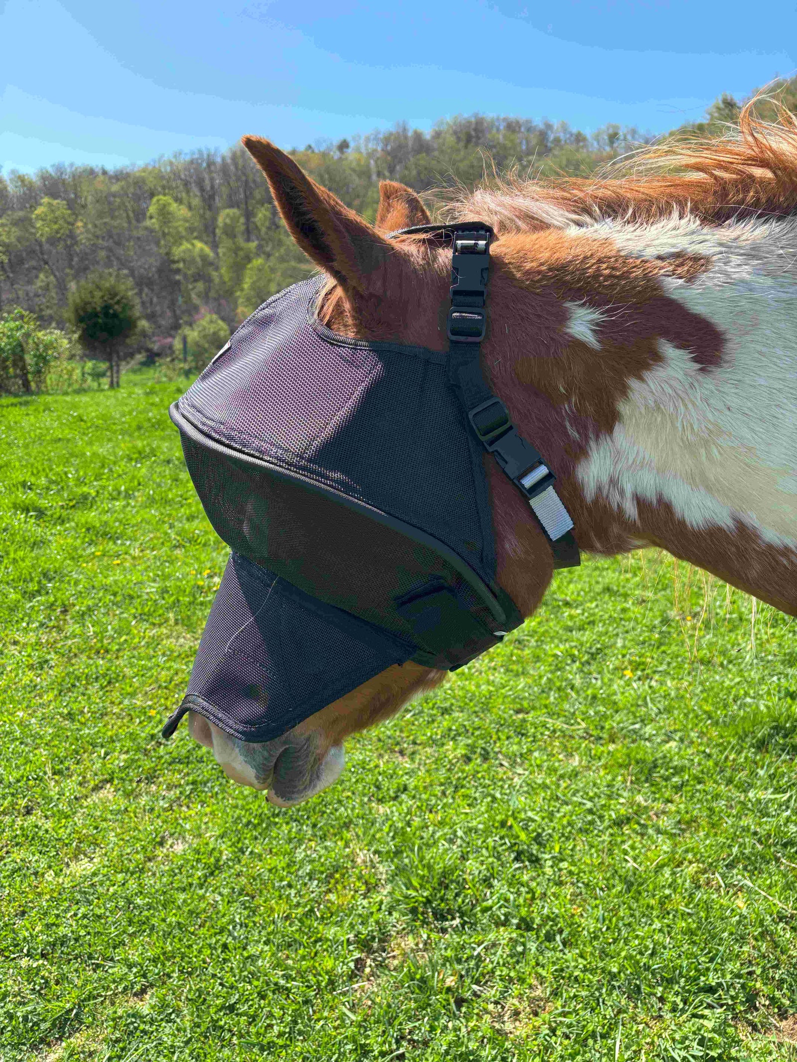 Solar Vizor Fly Mask - With Nose Protection - NEW STYLE