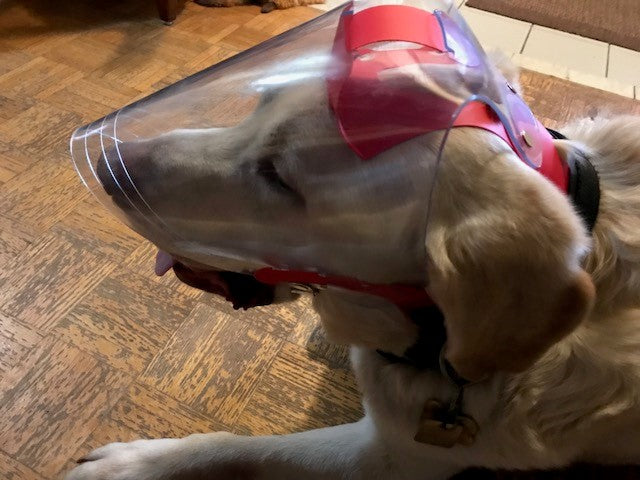 Protective Pet Solutions - Large Clear UV Tint OptiVizor