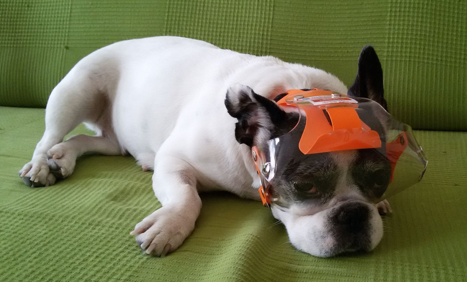 Small Short Snout OptiVizor