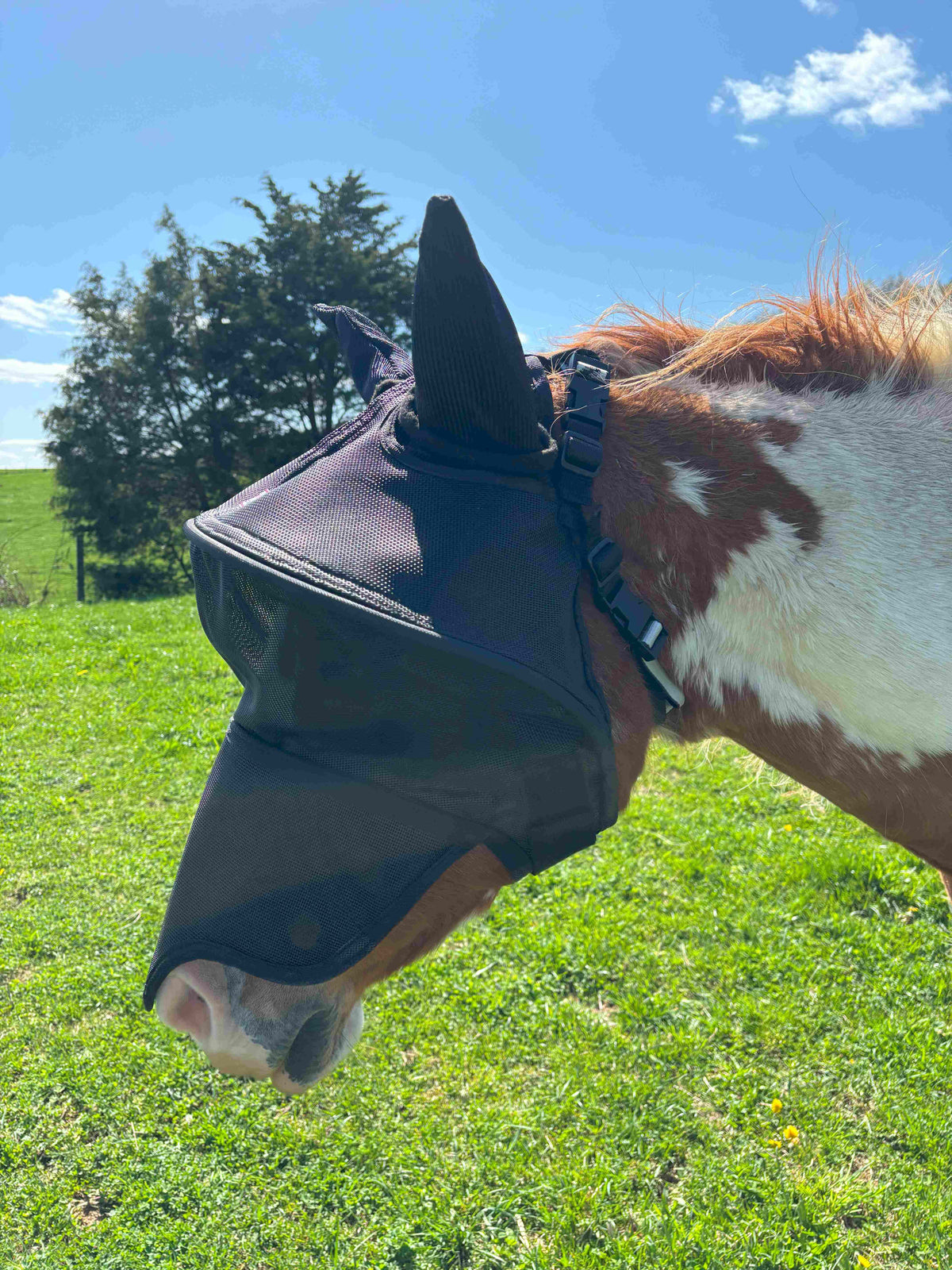Solar Vizor Fly Mask - With Ear and Nose Protection - NEW STYLE
