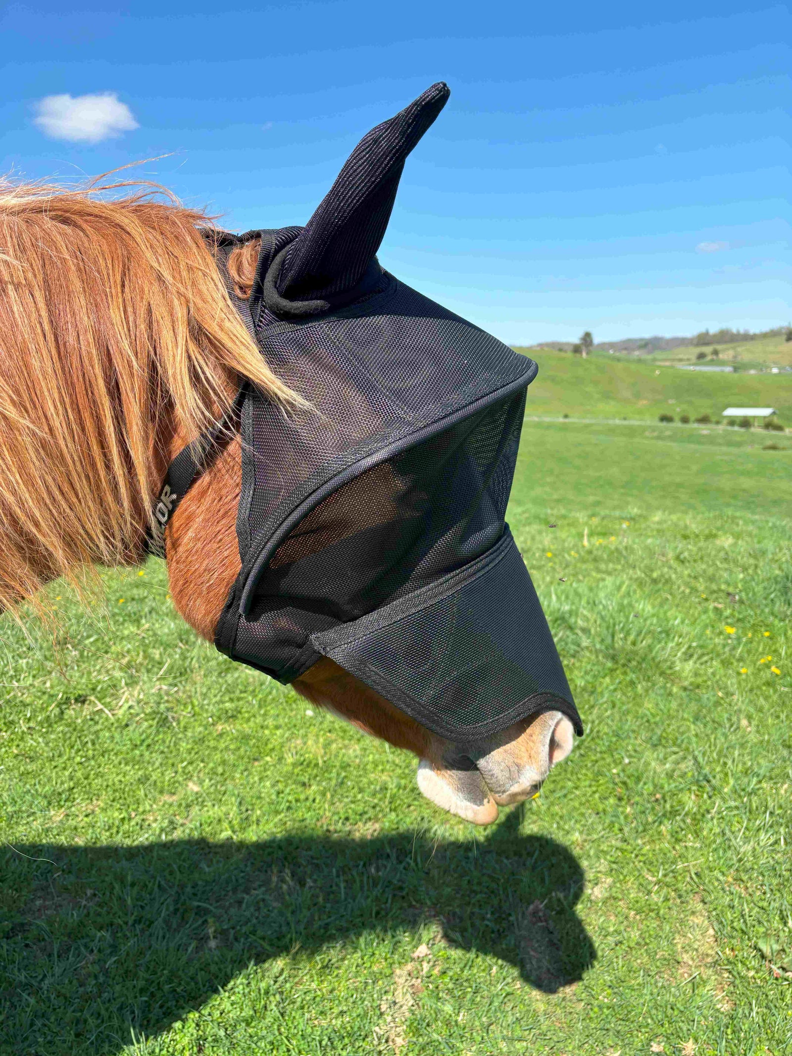 Solar Vizor Fly Mask - With Ear and Nose Protection - NEW STYLE