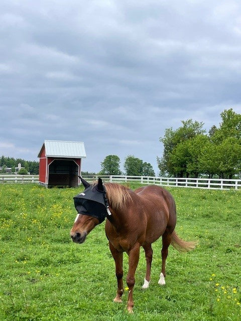Solar Vizor Fly Mask - With Ear Protection - NEW STYLE