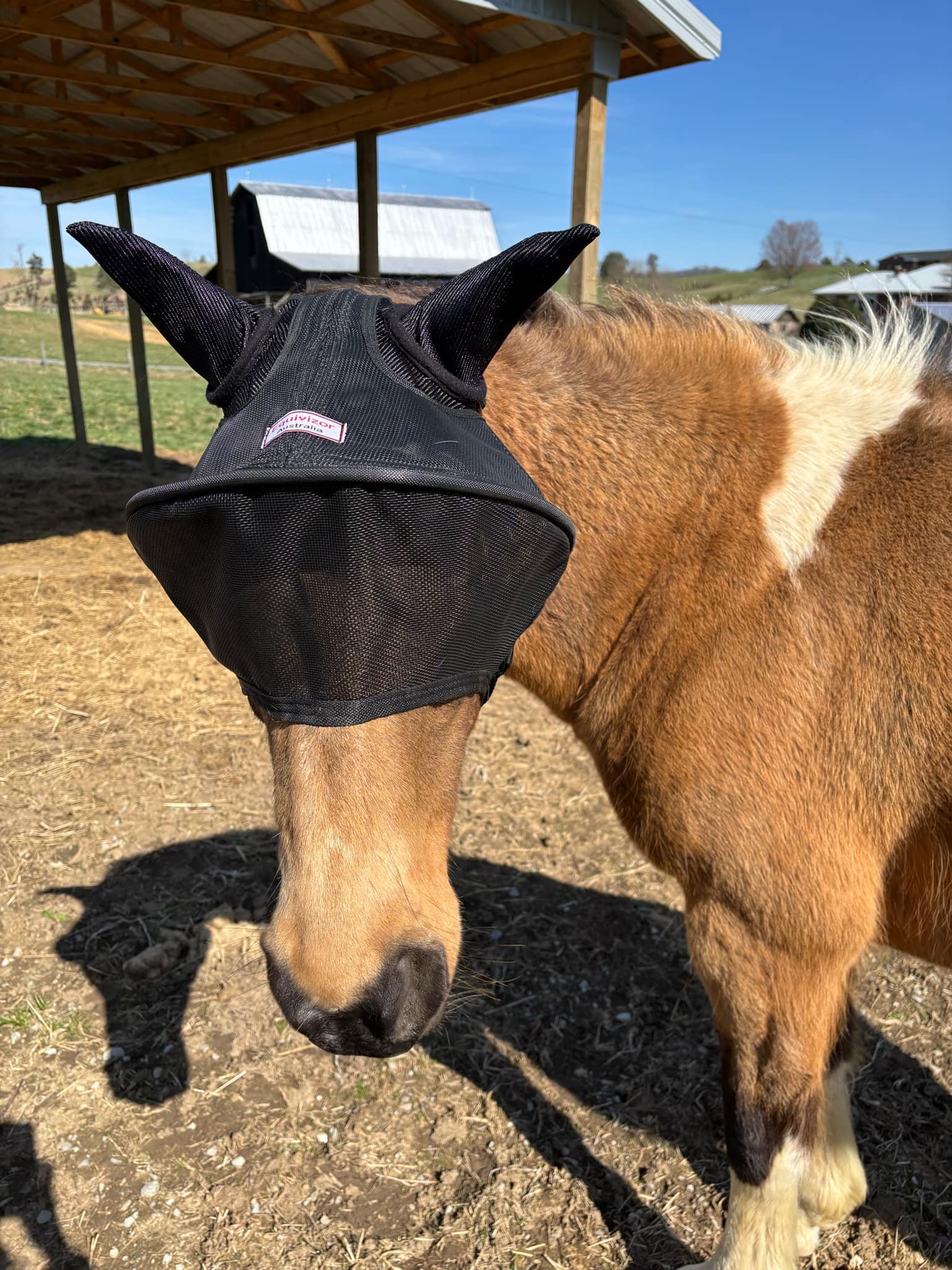 Solar Vizor Fly Mask - With Ear Protection - NEW STYLE