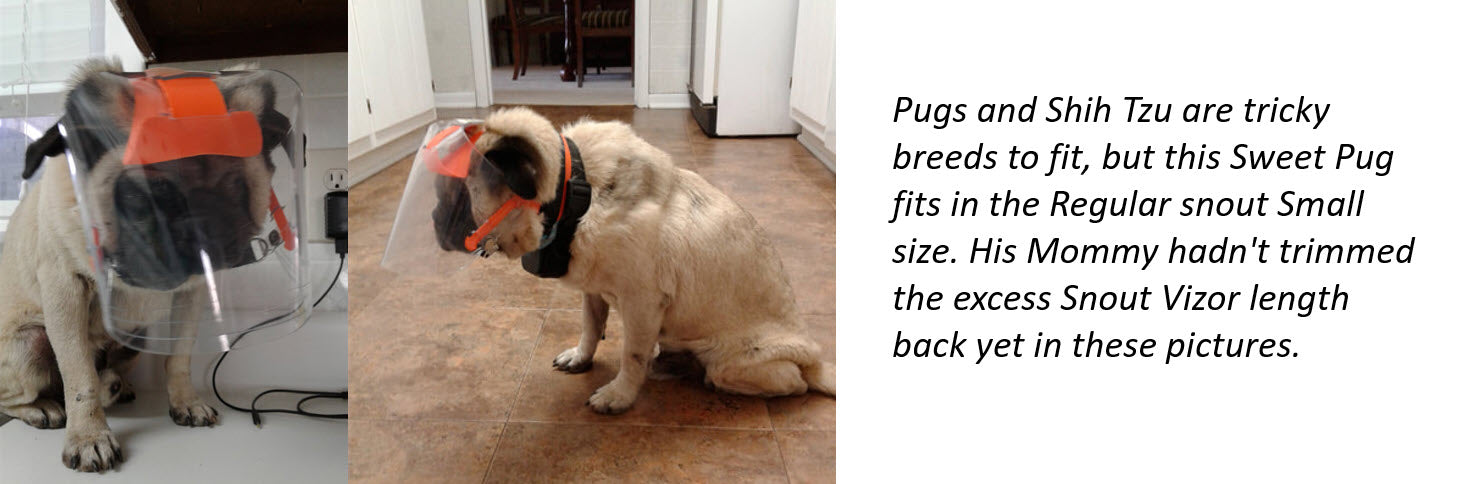 OptiVizor Medical Eye Protection for Dogs - Protective Pet Solutions