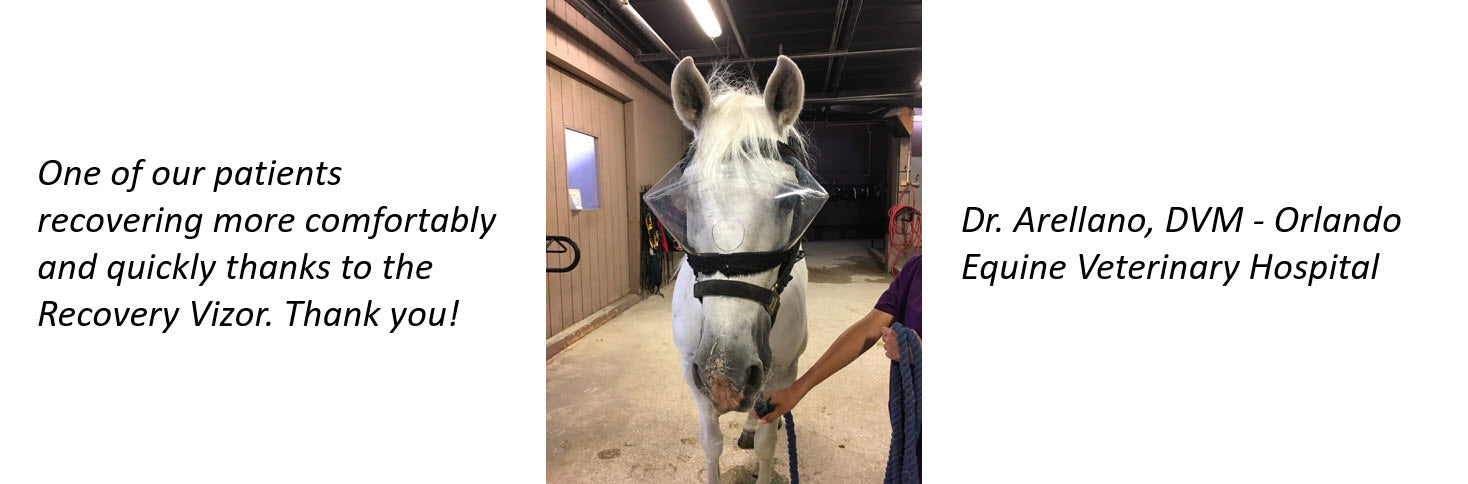 Recovery Vizor Testimonial - Protective Pet Solutions