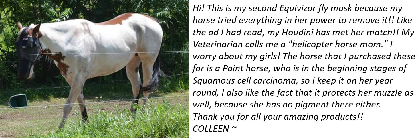 EquiVizor Fly Mask for Horses Testimonial - Take the Horse Houdini Challenge - Protective Pet Solutions